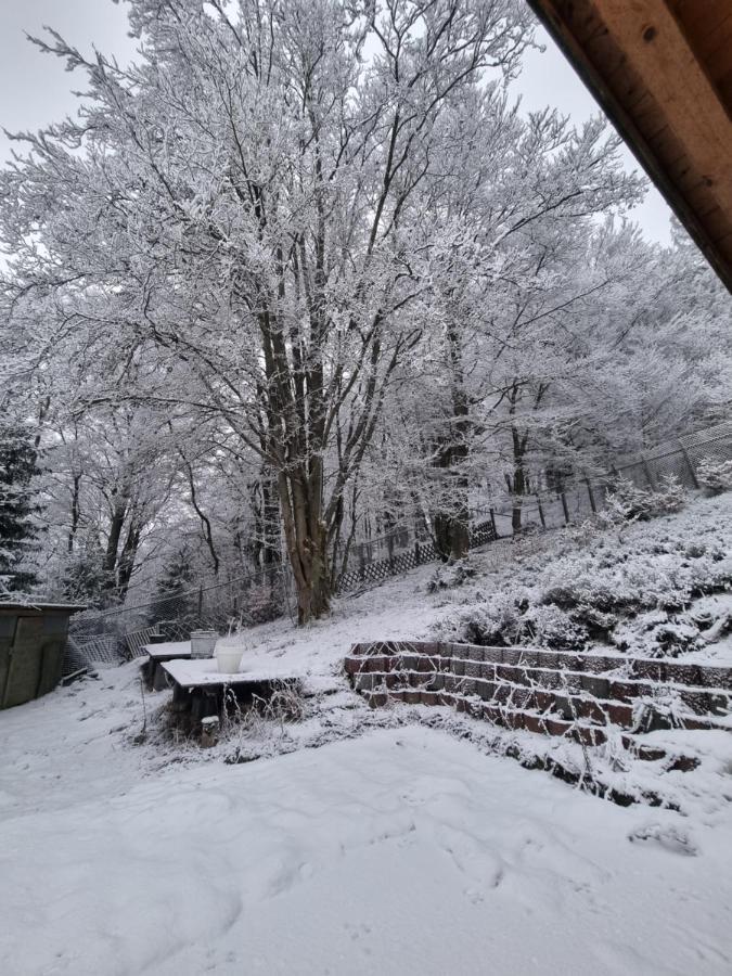 Ferienwohnung Schneeberg Stryck Esterno foto